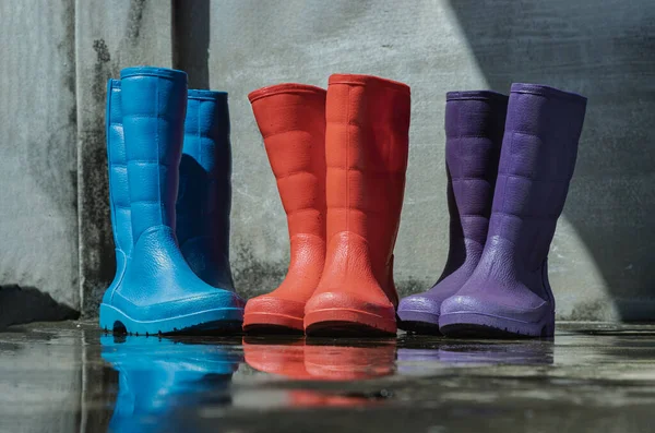 Three pairs of a colorful rain boots on wet floor with old bare cement wall background. Space for text, Selective focus.