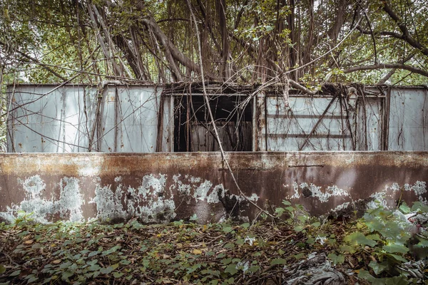 Lote Vagones Tren Antiguos Oxidados Abandonados Bosque Tren Viejo Abandonado — Foto de Stock