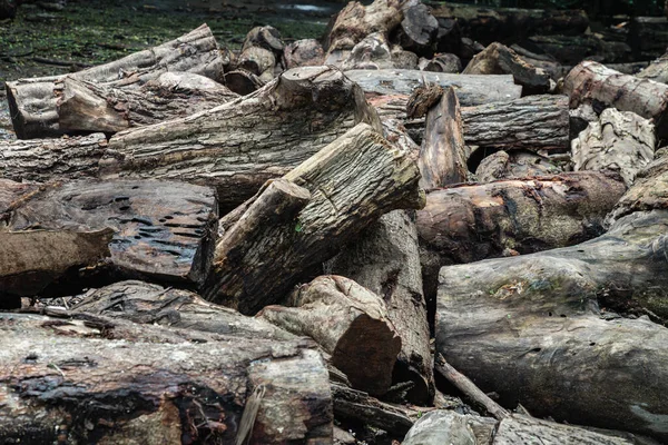 A pile of cut wooden logs, cut down tree trunks sawed and ready for production or to be used as firewood. Pieces of tree trunks that have been cut down, Stack of hardwood logs, Selective focus.