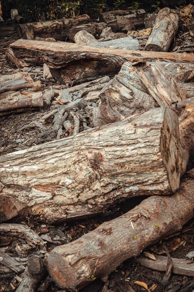 A pile of cut wooden logs, cut down tree trunks sawed and ready for production or to be used as firewood. Pieces of tree trunks that have been cut down, Stack of hardwood logs, Selective focus.