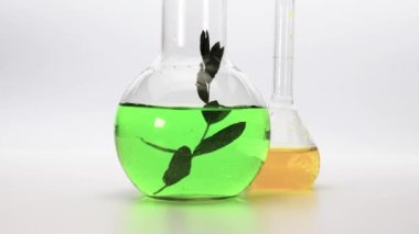 Beyaz arka planda sıvı yakın plan laboratuvar mataraları. Tıbbi laboratuvar araştırmaları ve analizleri. Farklı renkte ayıraçlar.