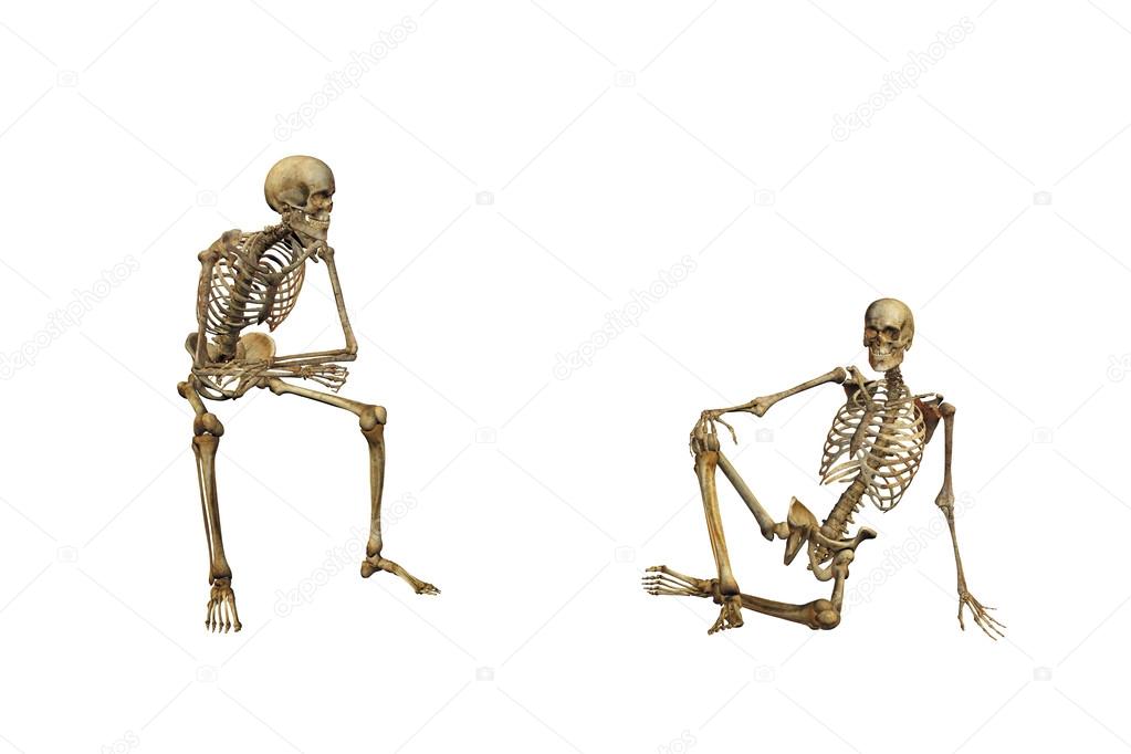 human skeleton drawing pose