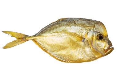 Beyaz arkaplanda balık