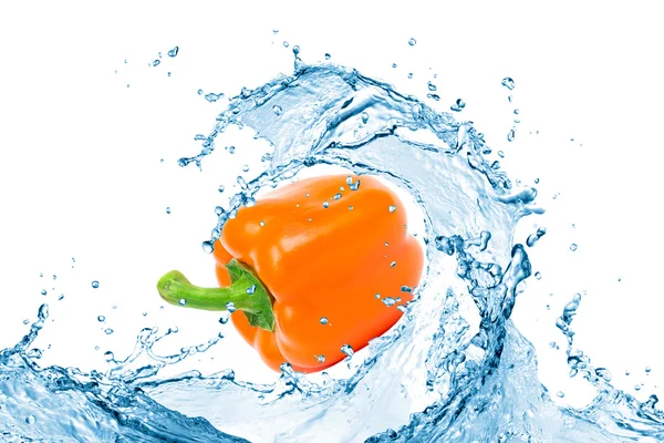 Papryka bułgarski z wody — Zdjęcie stockowe