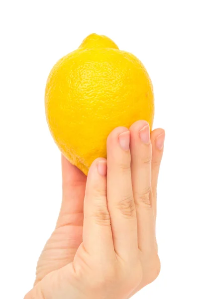 Lemon on a white background — Stock Photo, Image