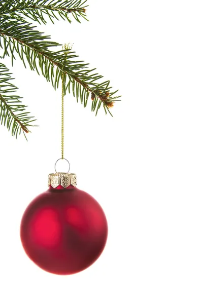 Bauble de Natal vermelho pendurado no ramo da árvore de Natal — Fotografia de Stock