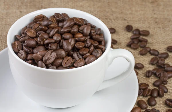 Witte kopje koffie bonen op Hessiaan zak — Stockfoto