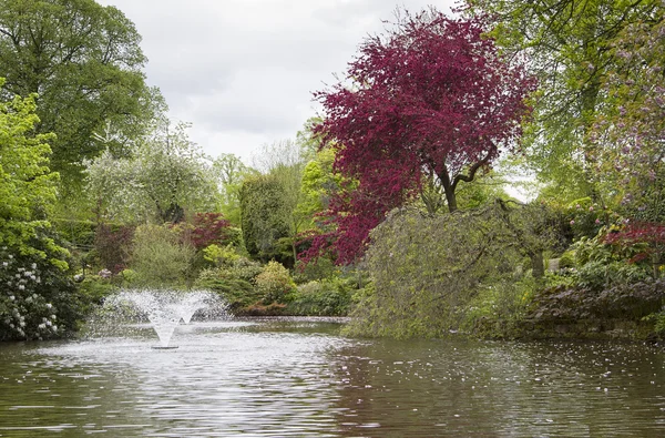 Декоративные сады с озером и фонтанами — стоковое фото