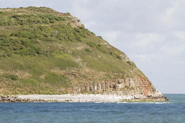 Isla Puffin en Anglesey — Foto de Stock