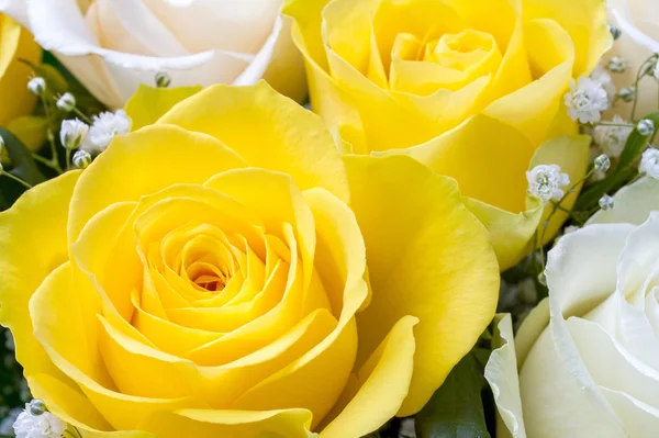 Close up image of yellow and white roses — Stock Photo, Image