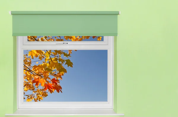 Zobacz jesień liści i błękitne niebo z okna — Zdjęcie stockowe