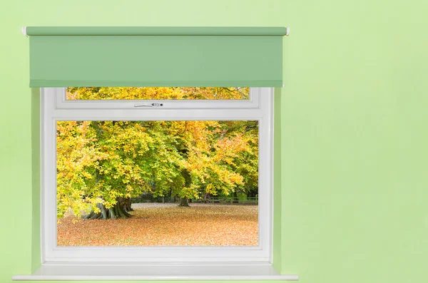 Vista degli alberi autunnali dalla finestra — Foto Stock