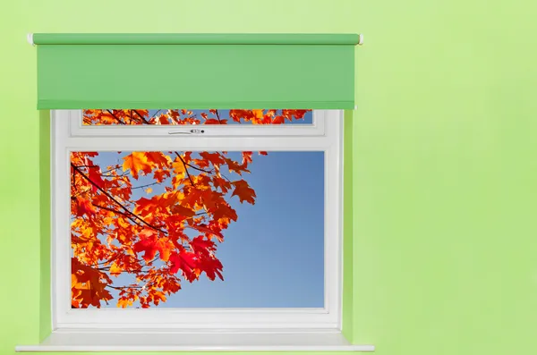 Widok na jesień liści i błękitne niebo z okna — Zdjęcie stockowe