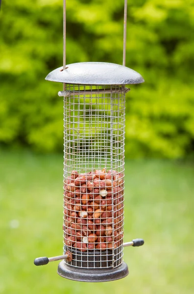 ピーナッツと庭の鳥の送り装置 — ストック写真