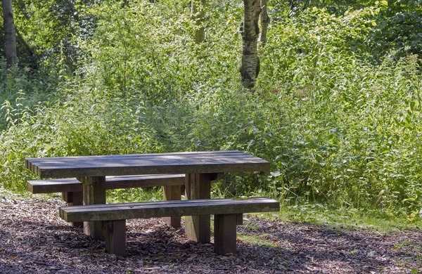 Wooden picnic bench in shady woodland Stock Image