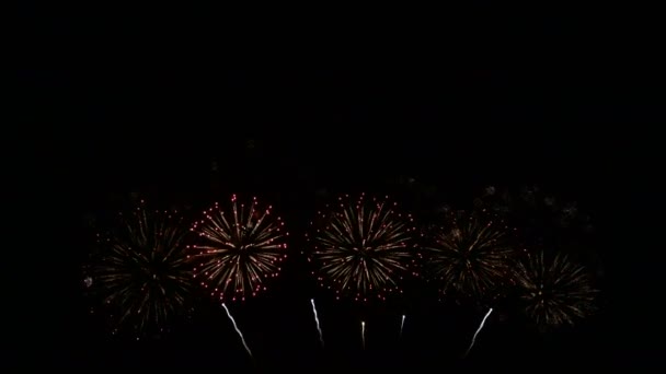 Bucle Sin Fisuras Fondo Fuegos Artificiales Hermosos Reales Durante Celebración — Vídeos de Stock