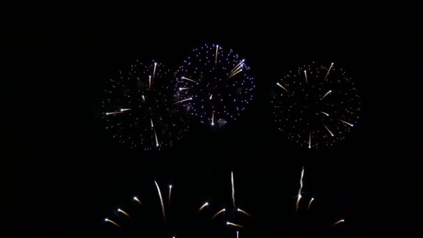 在新年除夕的庆祝活动中 真正的烟火背景无缝回旋 真正五彩斑斓的焰火盛宴在夜晚的天空中展出 灿烂的焰火表演 — 图库视频影像
