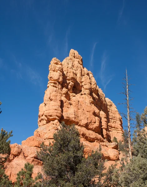 red canyon state Park Alien şapkalar