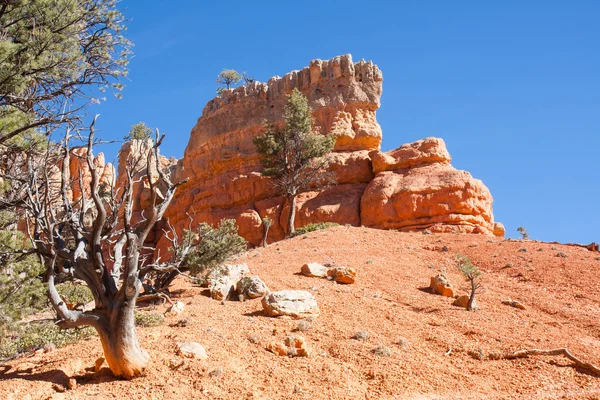 Felsgipfel im Red Canyon State Park — Stockfoto