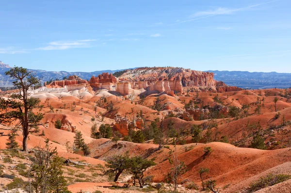 Rote Landschaft im Bryce Canyon Nationalpark — Stockfoto