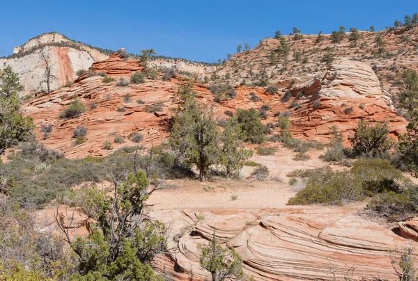 Natural Carvings — Stock Photo, Image