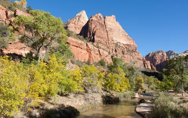 North fork van de rivier de virgin — Stockfoto