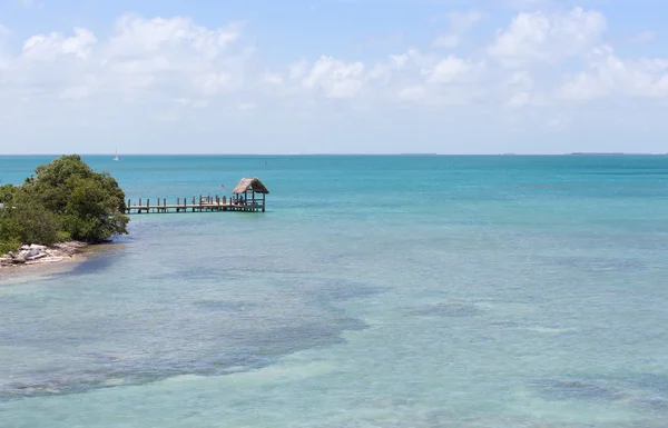 Güvercin anahtar sular