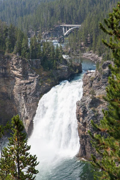 Yellowstone Upper Falls — Stock Photo, Image