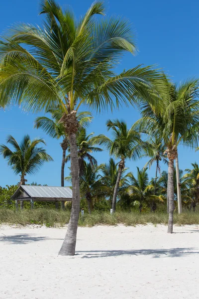 Lovely Beach on Key West East Side — Stock Photo, Image