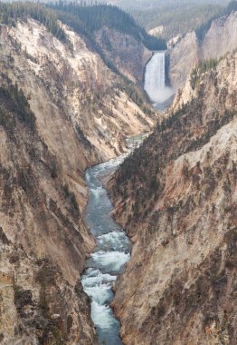 Yellowstone Büyük Kanyon