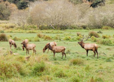 daha hızlı hareket