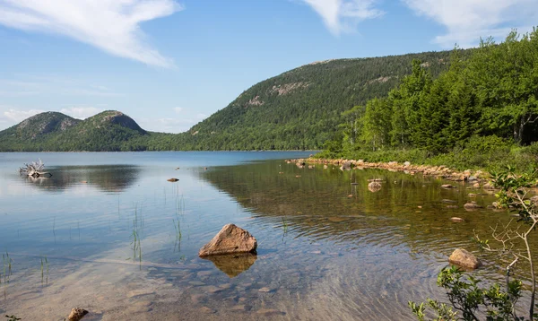 Jordan Pond Shoreline — Stock Photo, Image