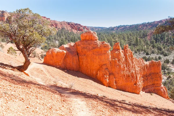 Wandelen in het rood canyon state park — Stockfoto