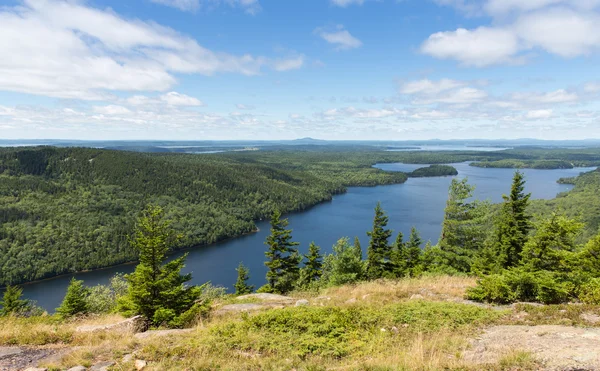 Panorama de montaña de haya — Foto de Stock