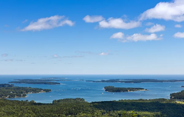 Yaz eğlence bar Harbor — Stok fotoğraf