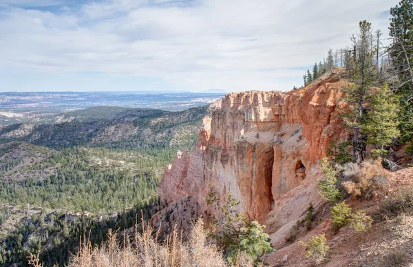 Zwarte berk canyon — Stockfoto