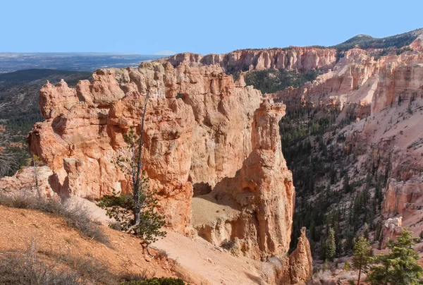 Zwarte berk canyon uitkijk — Stockfoto