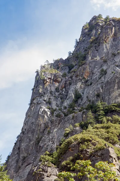 ヨセミテ渓谷を見上げる — ストック写真