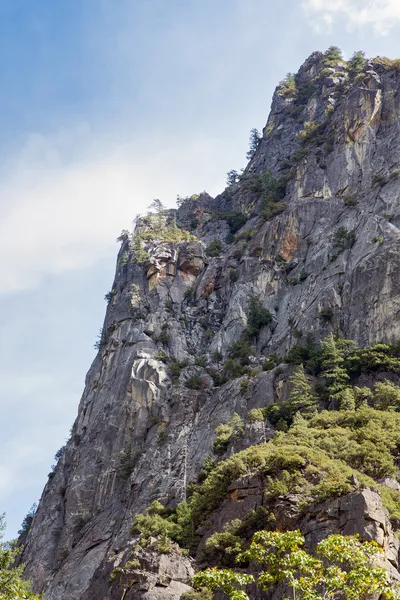 In Yosemite Valley Looking Up — Stock Photo, Image