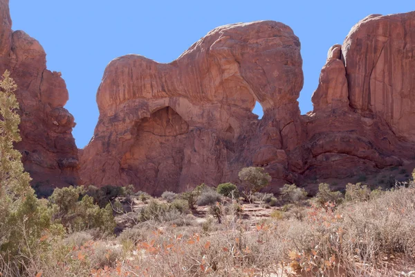 Elephant in the Rock — Stock Photo, Image