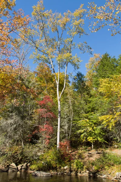 Yangınlar creek park — Stok fotoğraf