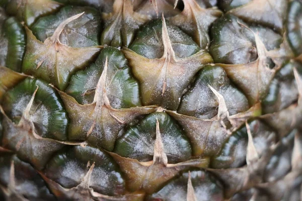 Abacaxi Grande Suculento Isolado Fundo Branco Fruta Amarela Deliciosa Saudável — Fotografia de Stock