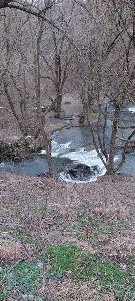 Une Petite Cascade Dans Forêt Endroit Calme Paisible Pour Des — Photo