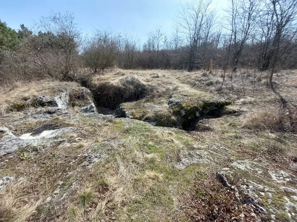 Kayalık arazinin güzel manzarası. Yosun ve çeşitli bitkilerle kaplı büyük taşlar.