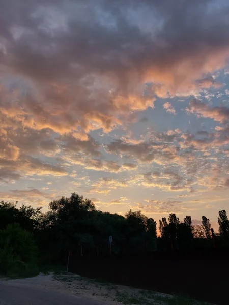 Pembe Günbatımı Küçük Beyaz Bulutlar Ormanın Üzerinde Kızıl Bir Günbatımının — Stok fotoğraf