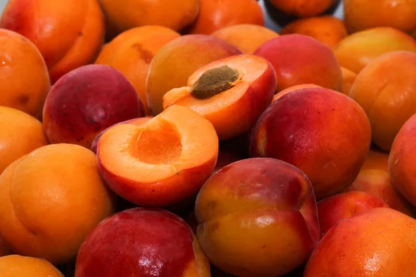 Lots of apricots. Fruit with a stone divided into 2 parts on the background of juicy apricots