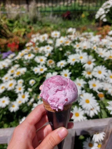 Strawberry Ice Cream Cone Background Flower Bed Daisies Delicious Dessert — 스톡 사진
