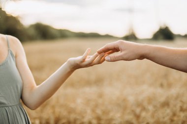 hands of a man and a woman in a wheat field close-up. High quality photo