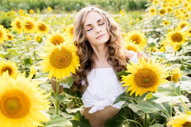 Manken görünümlü, sarışın, uzun saçlı, kot pantolonlu ve ayçiçeği tarlasında beyaz bluzu olan genç bir kız. Yüksek kalite fotoğraf