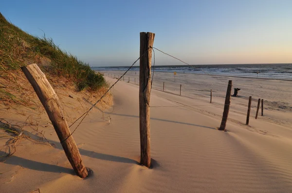 kum tepeleri ve çit
